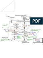 Pathophy - Nephrotic Syndromeed