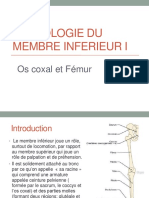 09 Anato1an Osteologie - MB - Inf Hamzaoui PDF