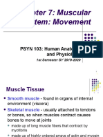 Chapter 7: Muscular System: Movement: PSYN 103: Human Anatomy and Physiology