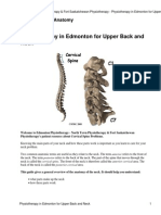 Cervical Spine Anatomy