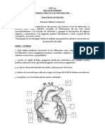 Bio Humana TP Integrador 2