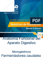 Fisiologia Digestiva Rumiantes