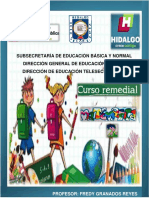 Curso Remedial Matematicas Segundo