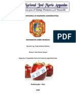 Monografia Densidad PDF