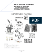 INSTRUCTIVO DE PRACTICAS-2020-Biologia Molecular