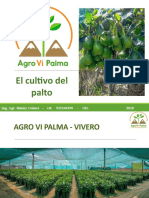 Agro Vi Palma Correjido