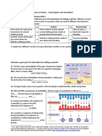 From Gene To Protein - Transcription and Translation