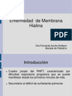 Emh PDF