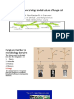 Mycology Chapter 2