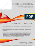 Disciplinas de La Neurociencia