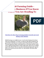 Rabbit Farming Guide - Profitable Business If You Know Where You Are Heading To