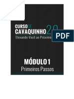 Módulo 1 - Primeiros Passos