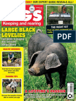 Practical Pigs - 39 - Summer 2020 PDF