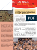 Cahier Poulets Web