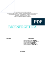 BIOENERGETICA