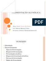 Fermentação Alcoólica