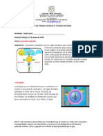 Guia N. 6 Sociales Grado 2