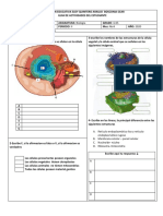 TALLER No1 - BIOLOGÍA 6º GRADO