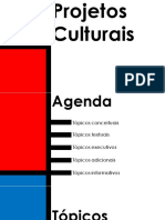 Aula Principais Topicos de Projetos Culturais