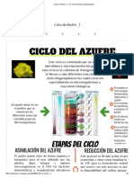 Ciclo de Azufre - 1 - by Camilo Barinas (Infographic)