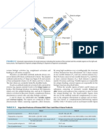 Atlas - Microbiology - Medical Microbiology - 26 TH Edit 147 PDF