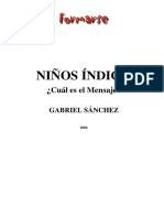 NIÑOS INDIGO - Gabriel Sánchez PDF