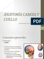 Anatomía Cabeza y Cuello