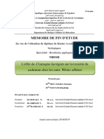 Memoire de Fin D'Etude: L'effet de Sur La Toxicité Du Cadmium Chez Les Rates