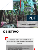 Taller Enfunde de Banano