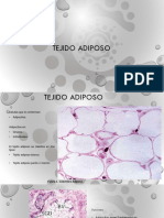 Tejido Adiposo PDF