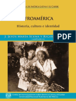 Afroamérica, Historia, Cultura e Identidad