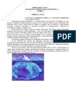 Curs 9 Fundamentele Psih PDF