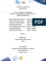 Informe Practica #6 - Fisica General