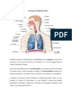 Asignacion 1. Radiologia