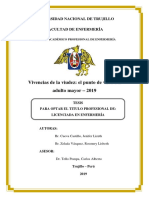 Viudez PDF