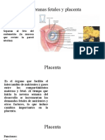 Membranas Fetales y Placenta