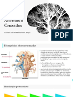 Síndromes Alternos o Cruzados ..