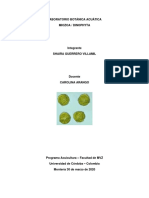 Trabajo Dinophyta Shaira PDF