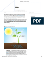 10 Ejemplos de Energía Química