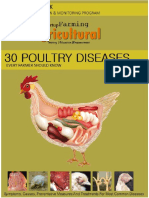 30 Chicken Diseases Every Farmer Should Know