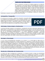 Etapa de Factibilidad PDF