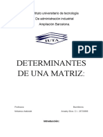 Determinantes de Una Matriz