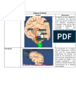 Imágenes de Biotek