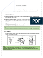 5to Ciencia y Ambiente 16