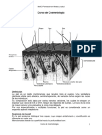 Cosmeto - 1 PDF