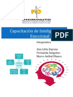 Capacitacion Inteligencia Emocional