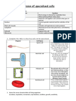 Revision of Specialised Cells: Name of Organelles Function