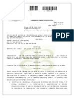 Certificado de Constitucion y Gerencia