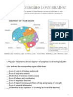 Alzheimer's - Brain Worksheet