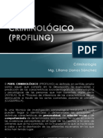 Perfil Criminológico 